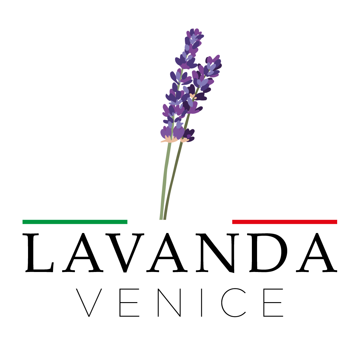 Lavanda Venice